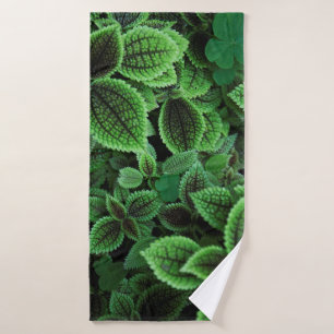 CLOSE UP PHOTO OF GREEN LEAFED PLANT BATH TOWEL