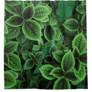 CLOSE UP PHOTO OF GREEN LEAFED PLANT SHOWER CURTAIN
