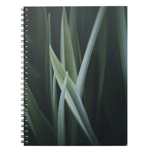 Close up photo of green linear leaves notebook (Front)