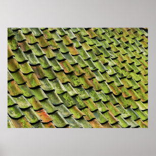 Close-up photo of green shingle roof poster
