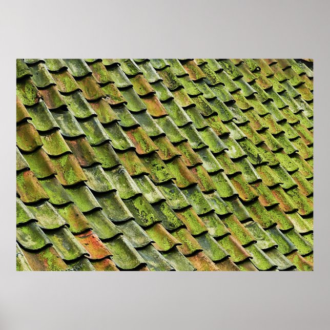Close-up photo of green shingle roof poster (Front)