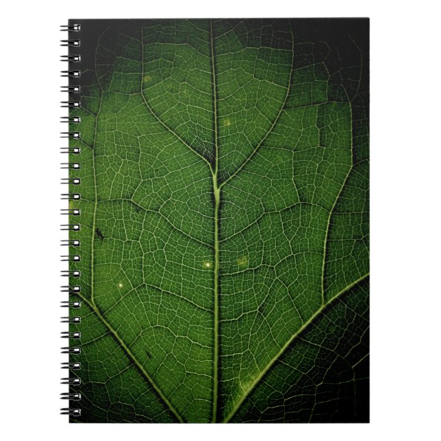 Close up photo of leaf notebook (Front)
