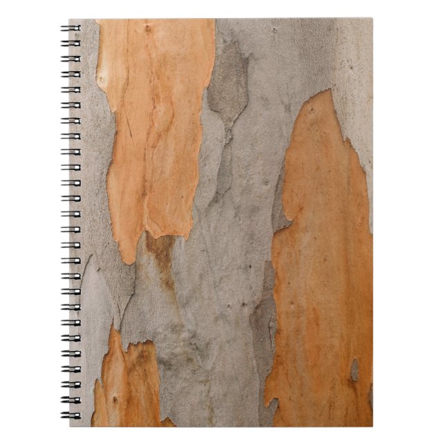 Close up photo of tree trunk notebook (Front)