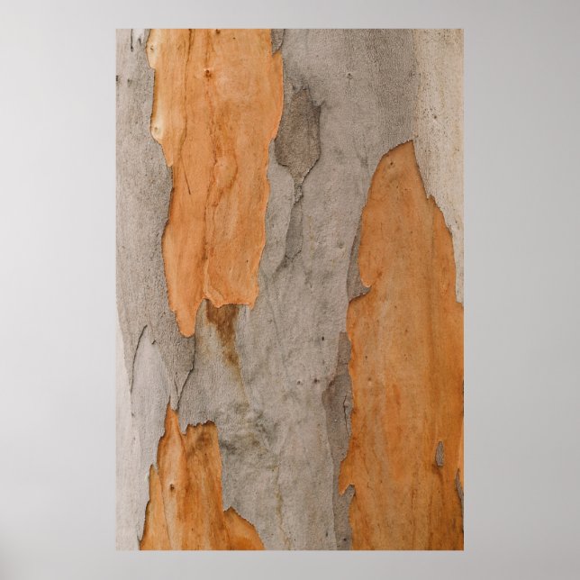 Close up photo of tree trunk poster (Front)