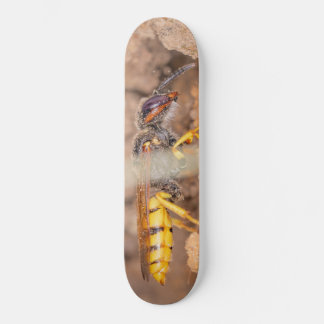Close-up photograph of a wasp skateboard