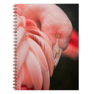 CLOSE UP PHOTOGRAPHY OF A PINK BIRD NOTEBOOK