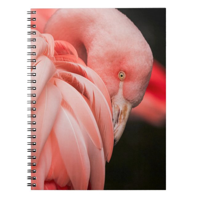 CLOSE UP PHOTOGRAPHY OF A PINK BIRD NOTEBOOK (Front)