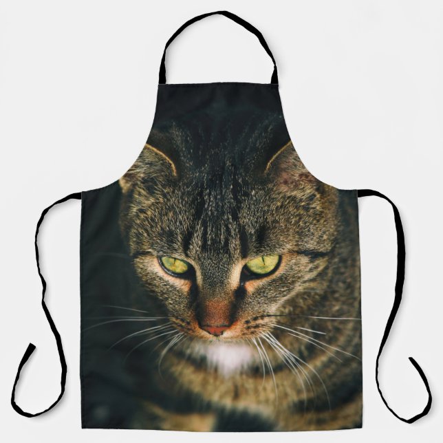 CLOSE-UP PHOTOGRAPHY OF GRAY TABBY CAT APRON (Front)