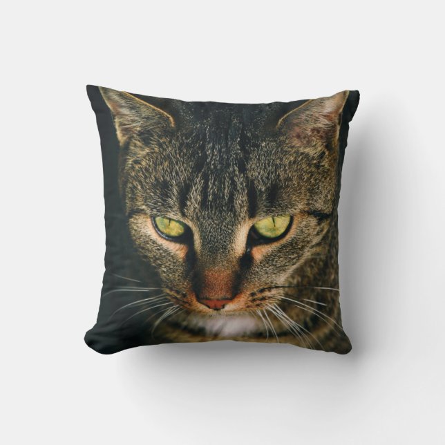 CLOSE-UP PHOTOGRAPHY OF GRAY TABBY CAT CUSHION (Front)