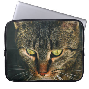 CLOSE-UP PHOTOGRAPHY OF GRAY TABBY CAT LAPTOP SLEEVE