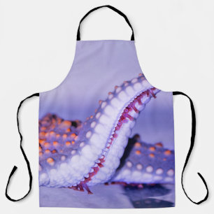 Close up photography of starfish apron