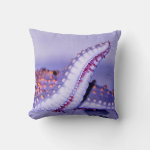 Close up photography of starfish cushion
