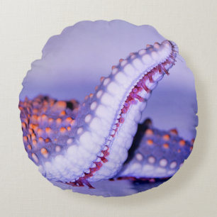 Close up photography of starfish round cushion