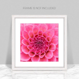 Close-Up Pink Flower Poster