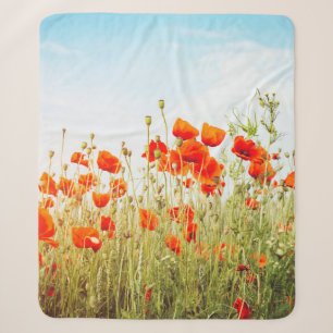 Close up poppies on field. Wild flowers in springt Sherpa Blanket