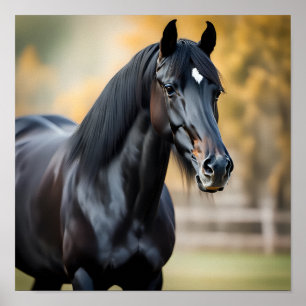 Close-up Portrait of a Black Horse Poster