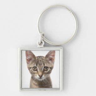Close up portrait of a kitten key ring