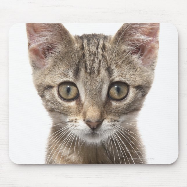 Close up portrait of a kitten mouse pad (Front)