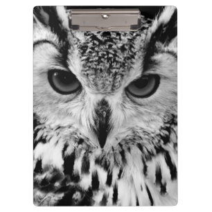 Close Up Portrait Of Eurasian Eagle-owl Clipboard