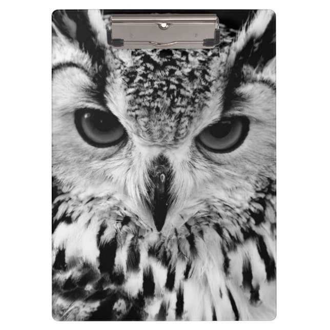 Close Up Portrait Of Eurasian Eagle-owl Clipboard (Front)