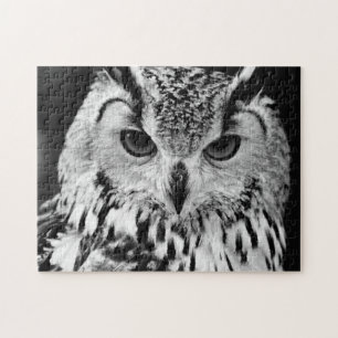 Close Up Portrait Of Eurasian Eagle-owl Jigsaw Puzzle