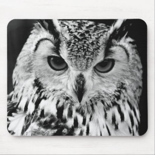 Close Up Portrait Of Eurasian Eagle-owl Mouse Pad