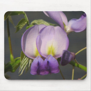 Close- Up Purple Wisteria Mouse Pad