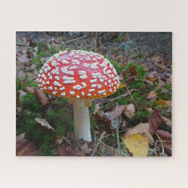 Close Up Puzzle: Cute Fly Amanita Jigsaw Puzzle (Horizontal)