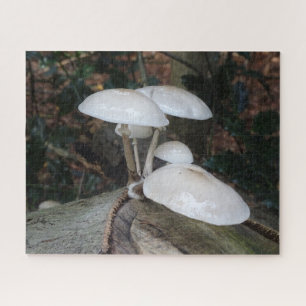 Close Up Puzzle: Cute Porcelain Mushrooms on Trunk Jigsaw Puzzle