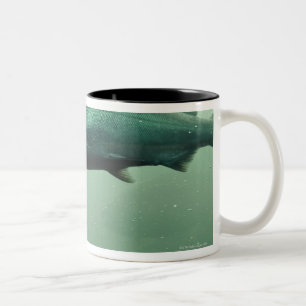 Close up shot of salmon running Two-Tone coffee mug
