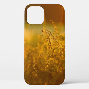 Close up silhouette of a grass field by sunsetabst iPhone 12 case