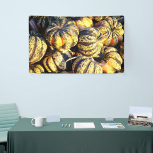 Close Up Stripey Pumpkins Banner
