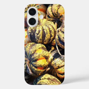 Close Up Stripey Pumpkins  iPhone 16 Case