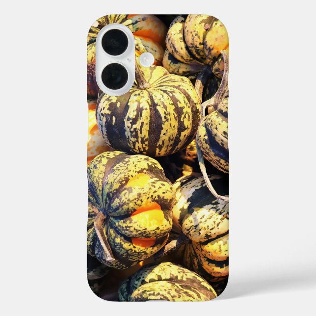 Close Up Stripey Pumpkins  Case-Mate iPhone Case (Back)