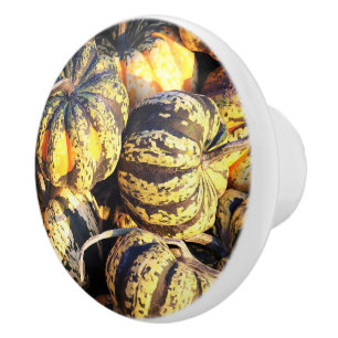 Close Up Stripey Pumpkins Ceramic Knob