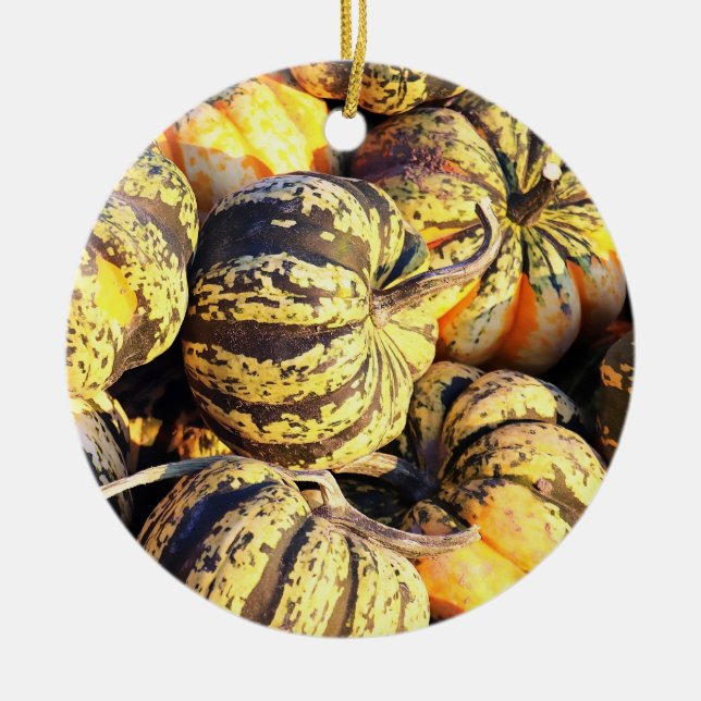 Close Up Stripey Pumpkins  Ceramic Ornament (Front)