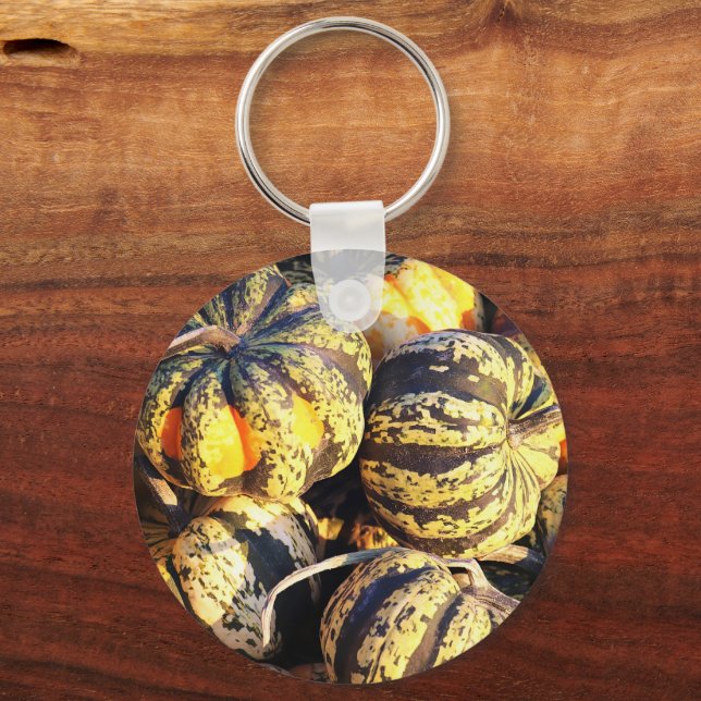 Close Up Stripey Pumpkins  Key Ring (Front)