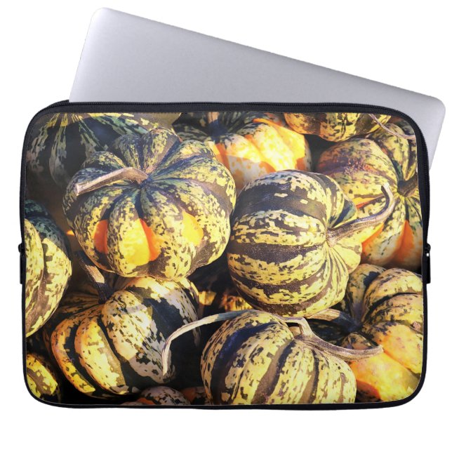 Close Up Stripey Pumpkins  Laptop Sleeve (Front)