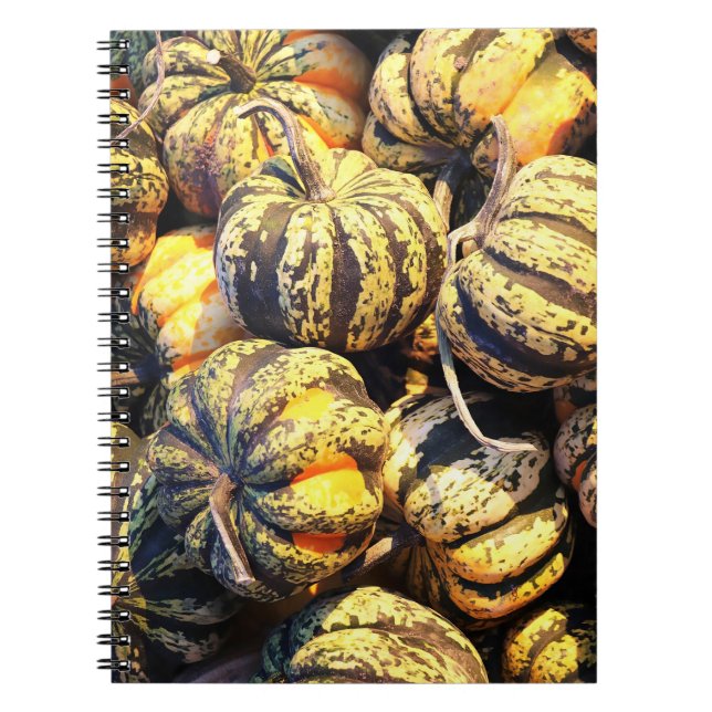 Close Up Stripey Pumpkins  Notebook (Front)