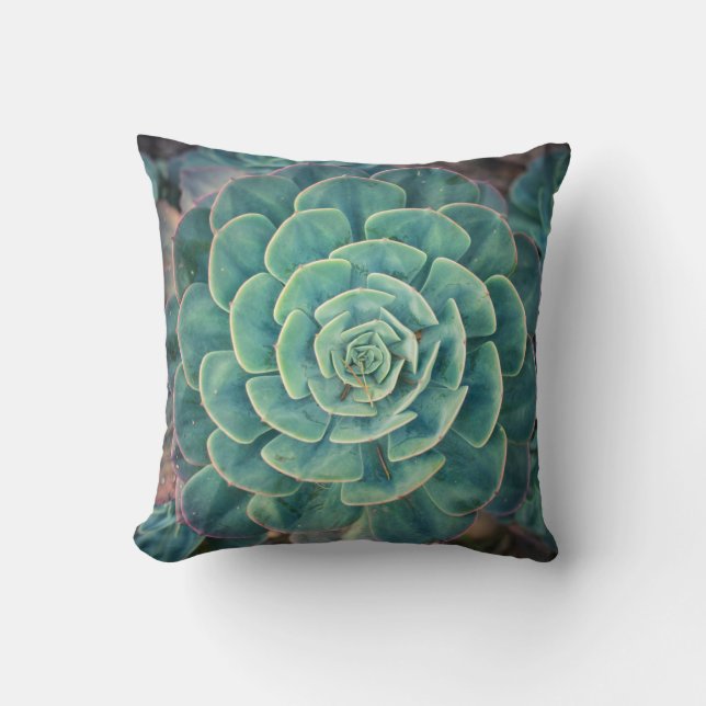 Close-up Succulent Cushion (Front)