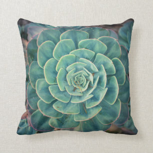 Close-up Succulent Cushion