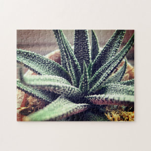 Close-Up Succulent Houseplant Relaxing Self-Care Jigsaw Puzzle