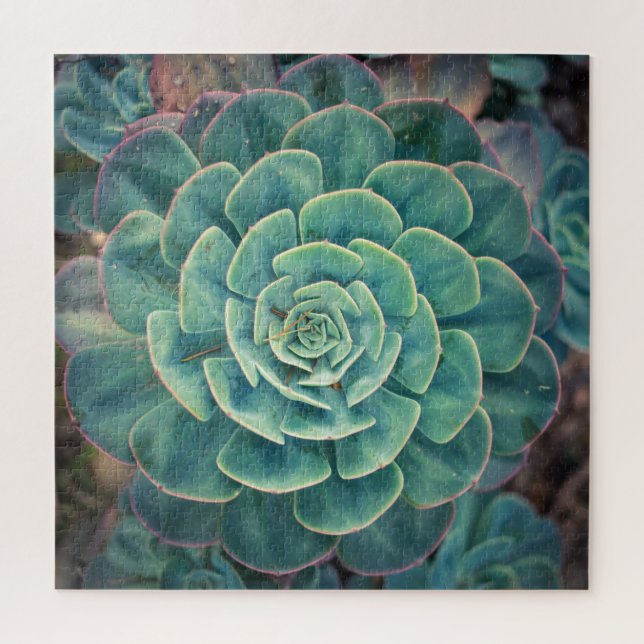 Close-up Succulent Jigsaw Puzzle (Vertical)