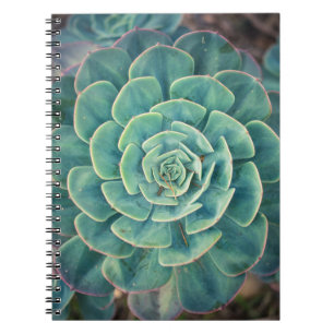Close-up Succulent Notebook