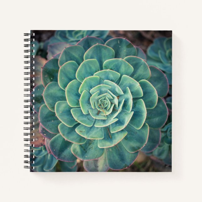 Close-up Succulent Notebook (Front)