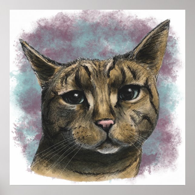 Close Up Tabby Cat Realistic Drawing Poster (Front)