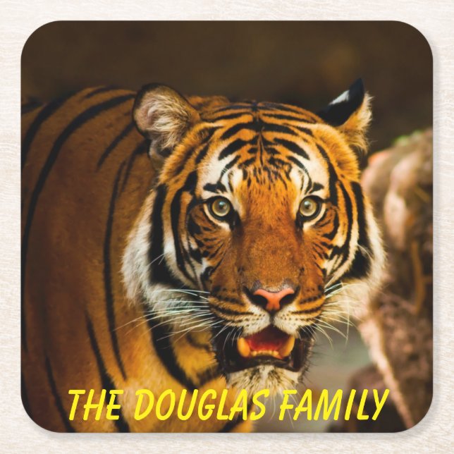 Close-up Tiger Square Paper Coaster (Front)