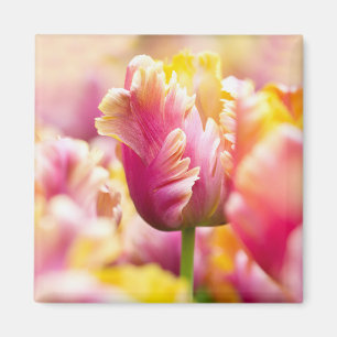 Close-up Tulips Magnet