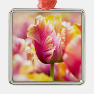 Close-up Tulips Metal Ornament