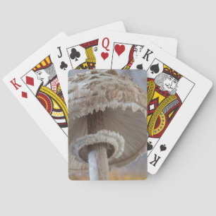 Close-Up Underside Of Mushroom Playing Cards